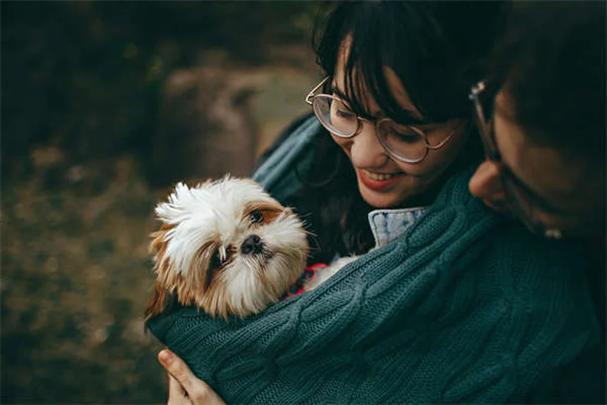 犬や猫のがんと運動――安全に続けるための3つのポイントと痛みのサイン